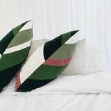 filiplants