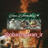 جوین شید ادمین هام پیام میدن.
