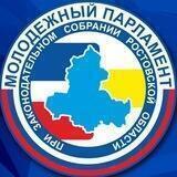 Молодежный парламент Ростовской области