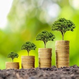 Earning Group Family