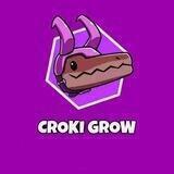 CROKI GROW