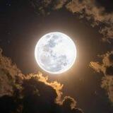 мσσиℓιgнт є∂ιтz 🌙