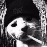 Комната Кота Барсика