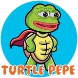 Turtle PEPE PORTAL