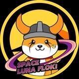 Space Luna Floki