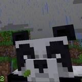 UwU de Vikinga ^_^