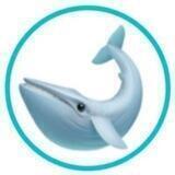 Whale Loans| Official Chat
