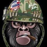 ARISE! Guerrilla News