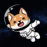 SpaceInu