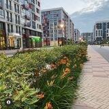 Ispanskie_kvartaly_green