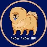 Chow Chow Inu