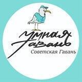 "Умная Гавань" Администрация г. Советская Гавань