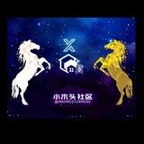 木头资本频道 xiaomutu channel