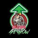 OLDIES APE GROW - PORTAL