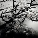♡`katoki`