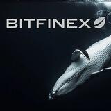 Bitfinex Whale 🇷🇺 Неофициальный Канал Кита Джо Кондина На Русском