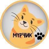 Мурчик 🐈