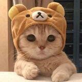 PRO_CHEAT|چیت پابجی