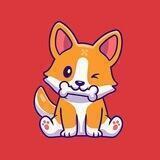 babyshib okc