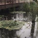 `*YUDZURO¡!