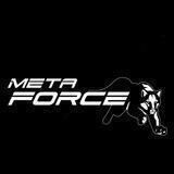 FORCE-META | پروژه فورس