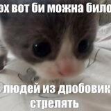 пипипипи