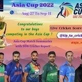 🏏✧ Ⱥ 🆃𝐫𝐢𝐩 🆃𝐨 🅲𝐫𝐢𝐜𝐤𝐞𝐭 ✧ ✈️