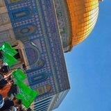 عشاق الاقصى 🇵🇸💚✨