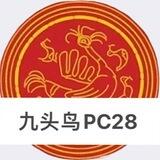 (九头鸟)加拿大PC28-4.6(每晚24点回水15%)玩法