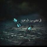 العرفان الشيعي العملي