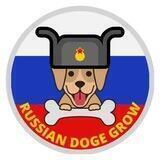 Russian Doge Grow