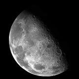 Moonshot Capital