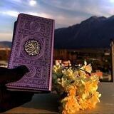 • ﮼يوميات،طالبةٌ،علم،القران • 📖