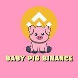 Baby Pig Binance $BPB FAIR LAUNCH