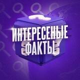 Интересные факты | История | Рассказы и легенды