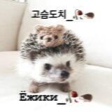 고슴도치_ Ⲕⲁⲏⲁⲗ