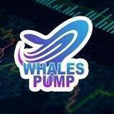 Whales Pump 🐳 Reviews💬
