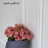 🍂قبس من الكتاب و السنة🍂