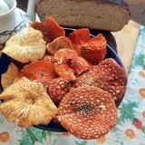 Мухоморчики🍄🍄