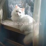 ¡! ﾟ｡･rose-scented love･｡ﾟ!¡