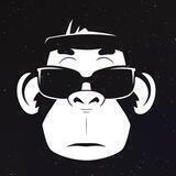 BTFA Shill Group
