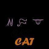 NFT CAT