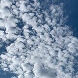 يـاو يـاو