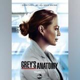 آناتومی گری | Greys anatomy