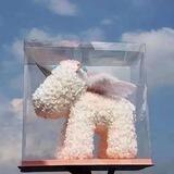 乔乔 【礼品 娃娃 鲜花】