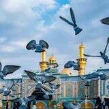 ستوريات أهل البيت (ع)
