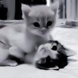 가서 씨발 새끼들아 ~♡
