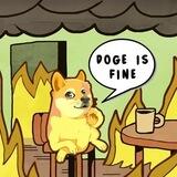 DOGE IS FINE PORTAL