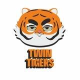 TWIN TIGERS 🐯