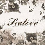 scatove, open. ✧